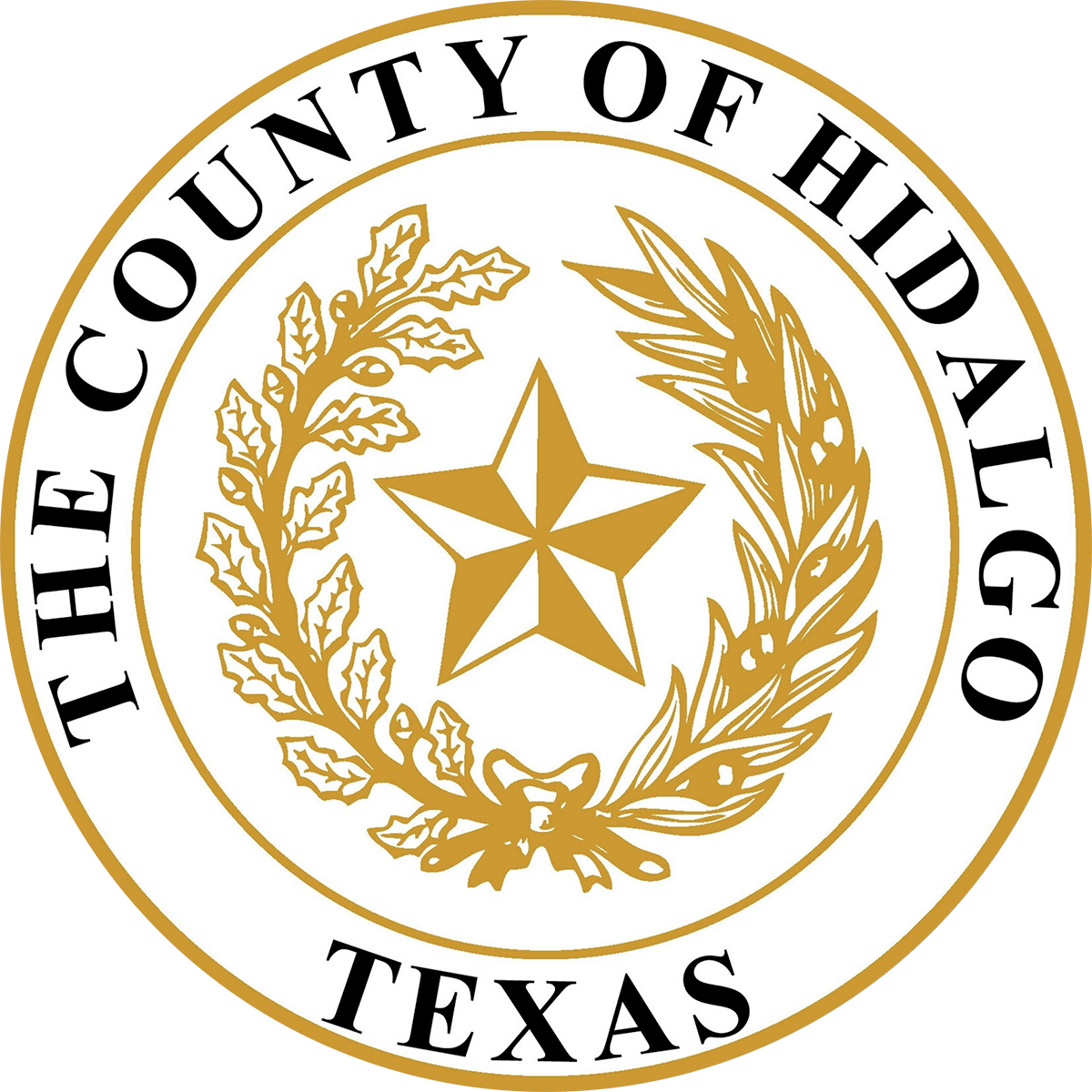 Hidalgo County District Courts Logo