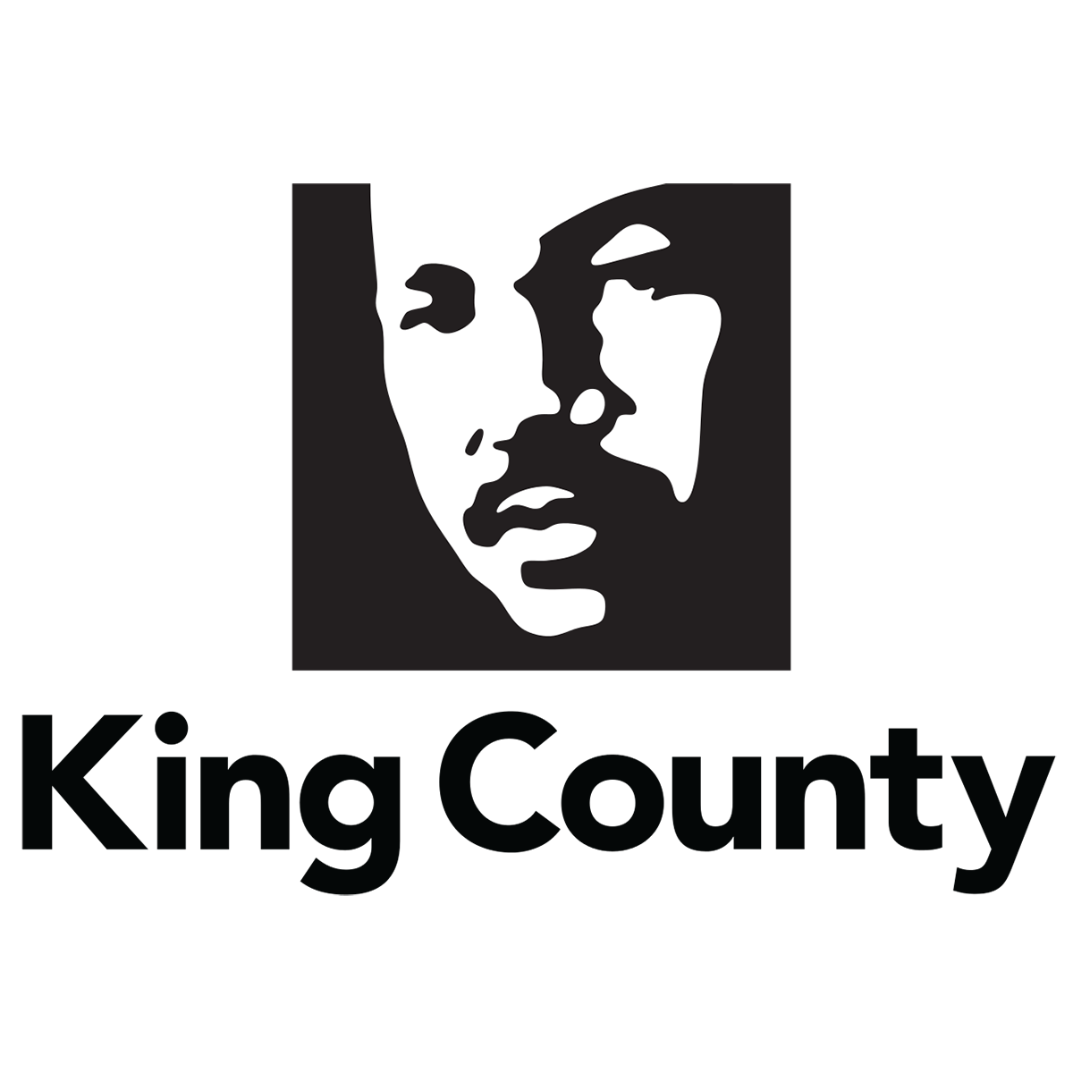 King County Department, Agencies, and Offices Logo